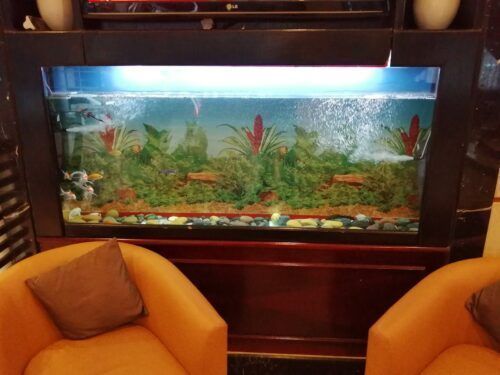 بررسی کلی هتل Capital O 246 Landmark Summit Dubai Hotel