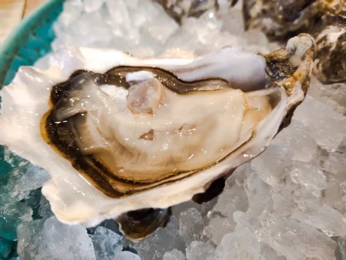 نگاهی به سرآشپزان مجرب رستوران سی فود مارکت دبی